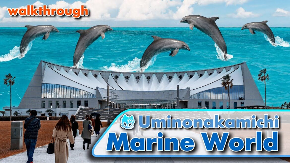 Uminonakamichi Marine World [ Fukuoka ] | walkthrough