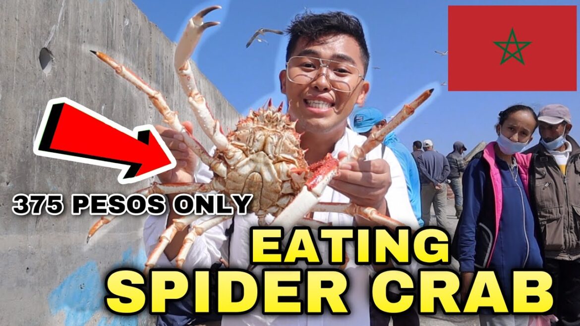 FIRST TIME EATING GIANT SPIDER CRAB IN MOROCCO 🇲🇦