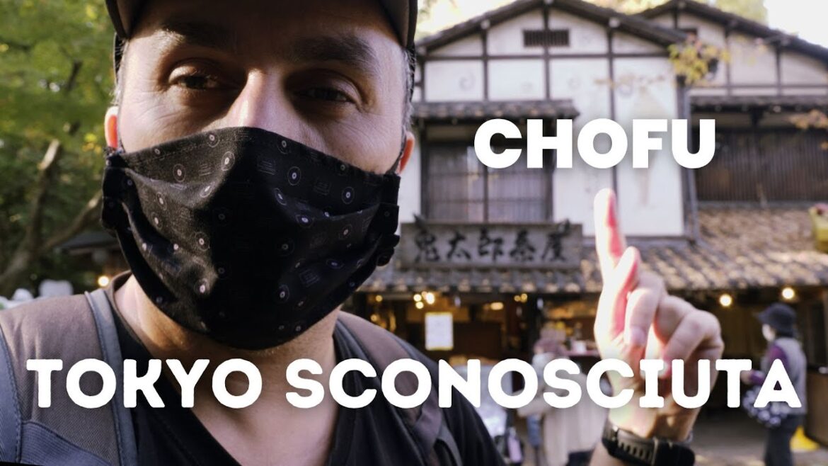 CHOFU la TOKYO SCONOCIUTA! VIAGGIO in GIAPPONE 2022 Ep 4 CHOFU la TOKYO SCONOCIUTA! VIAGGIO in GIAPPONE 2022 Ep 4