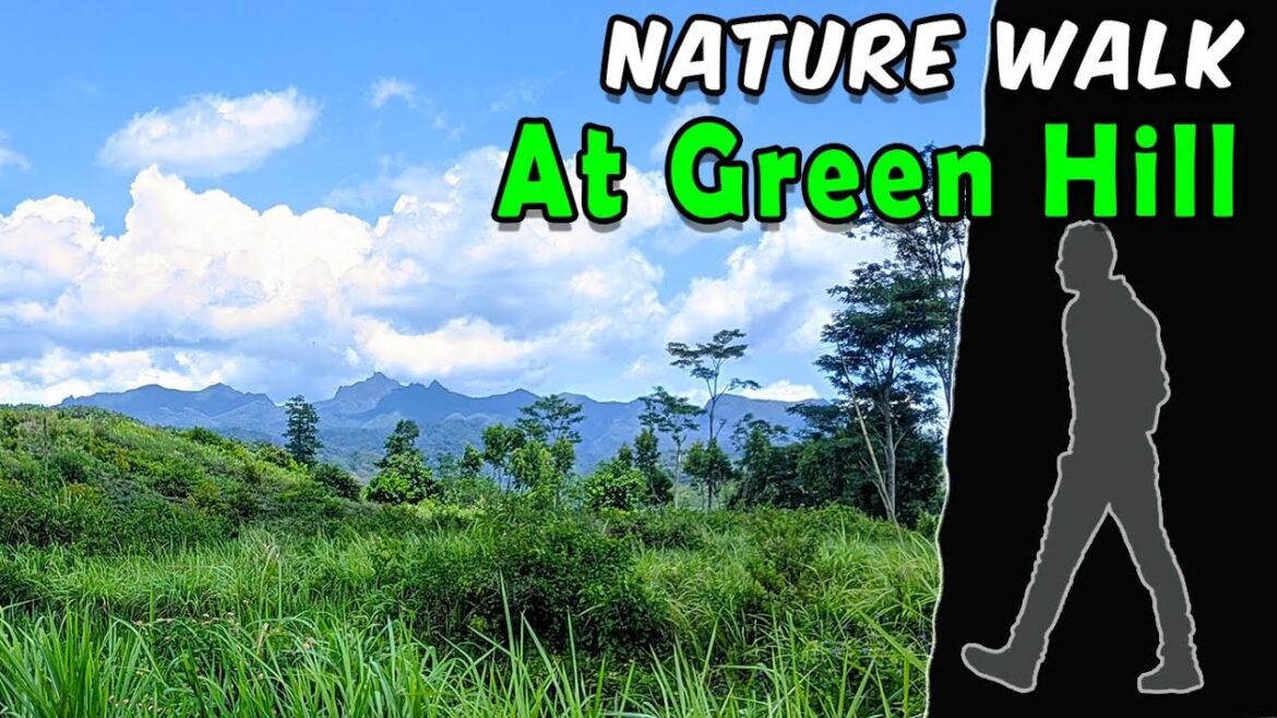 Nature Walk at Green Hill | ASMR Sounds of Nature