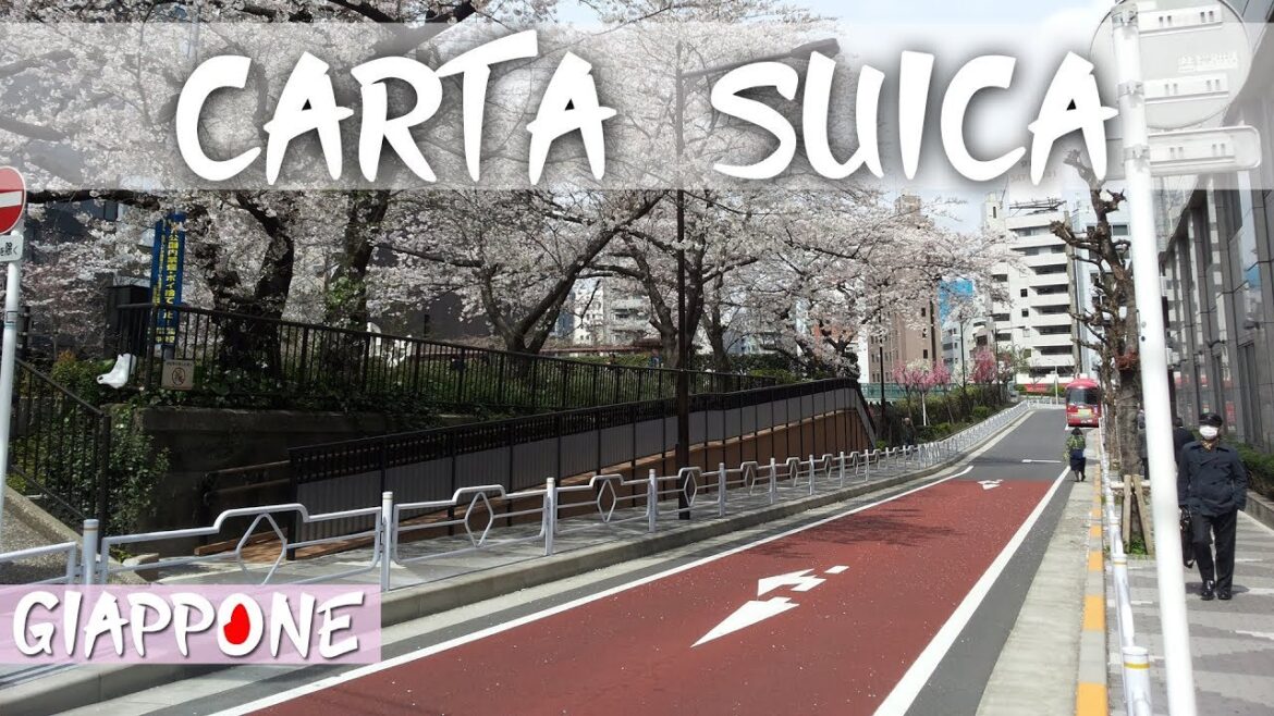 GIAPPONE: tutto quello che devi sapere sulla SUICA, come attivarla e usarla (ENG SUB) | Travel Duo GIAPPONE: tutto quello che devi sapere sulla SUICA, come attivarla e usarla (ENG SUB) | Travel Duo