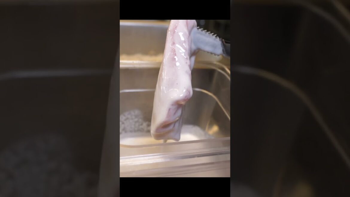 쩝쩝박사 사장님이 만드는 궁극의 돈까스? 바삭함이 완전 끝내주는! 군침 싹 도는 돈까스 #shorts – amazing pork cutlet / Korean street food 쩝쩝박사 사장님이 만드는 궁극의 돈까스? 바삭함이 완전 끝내주는! 군침 싹 도는 돈까스 #shorts - amazing pork cutlet / Korean street food