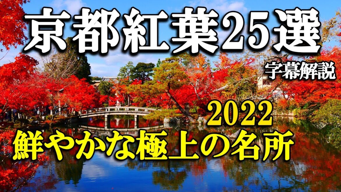 【4K 京都の紅葉🍁25選】2022年極上の名所