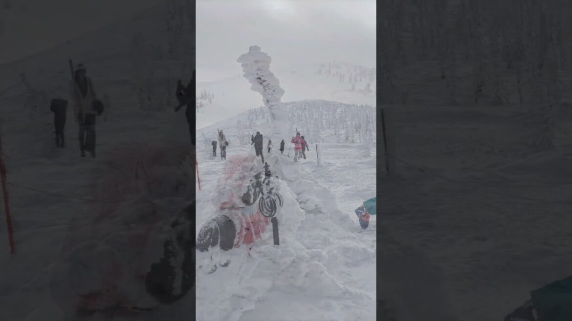 最強寒波明日から 樹氷楽しみですね 1月23日【嵐の前の静けさ】 最強寒波明日から 樹氷楽しみですね 1月23日【嵐の前の静けさ】