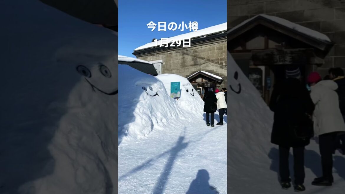 -6度、冬晴れの小樽。春節でもあり堺町にはインバウンドが戻ってきた感じです😊 ルタオもたくさん!あちこちにいる雪だるま、ほっこりします #小樽 #otaru -6度、冬晴れの小樽。春節でもあり堺町にはインバウンドが戻ってきた感じです😊 ルタオもたくさん!あちこちにいる雪だるま、ほっこりします #小樽 #otaru