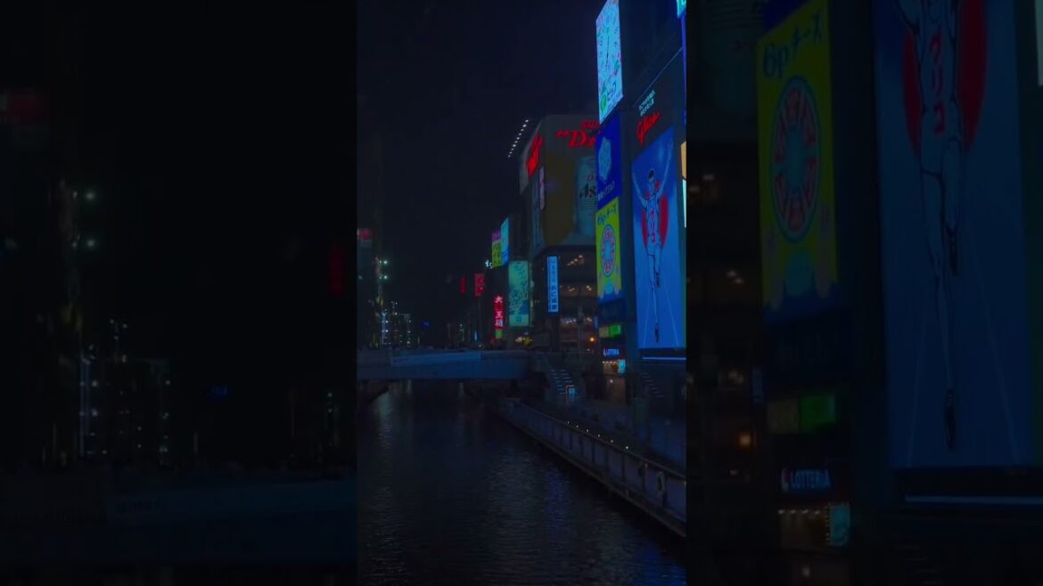 大阪で雪が降る Snow in Osaka #大阪 #雪 #道頓堀