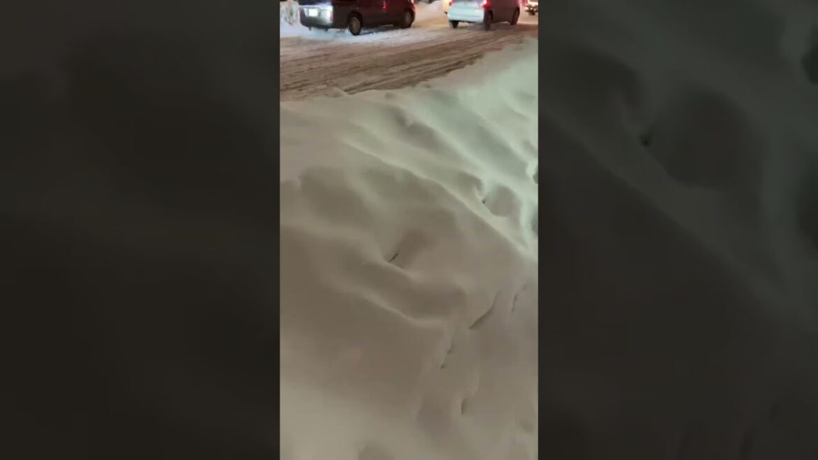 Travel, Sapporo, Hokkaido, Japan, 2023. Japan Travel Travel, Sapporo, Hokkaido, Japan, 2023. Japan Travel