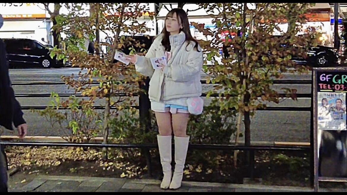 A beautiful maid found in Akihabara, Tokyo.