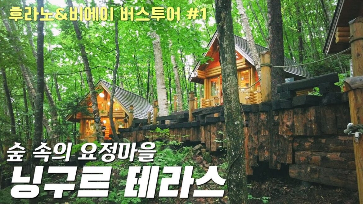 숨겨진 숲속 요정마을 닝구르 테라스 | 일본여행 홋카이도 5박6일 DAY2 후라노•비에이 버스투어#1 Hokkaido Furano Biei 北海道 富良野 ニングルテラス