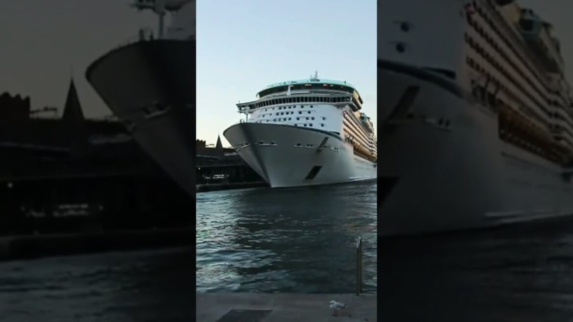 Biggest passenger ship spotted #australia #circularquay #ship #sydney