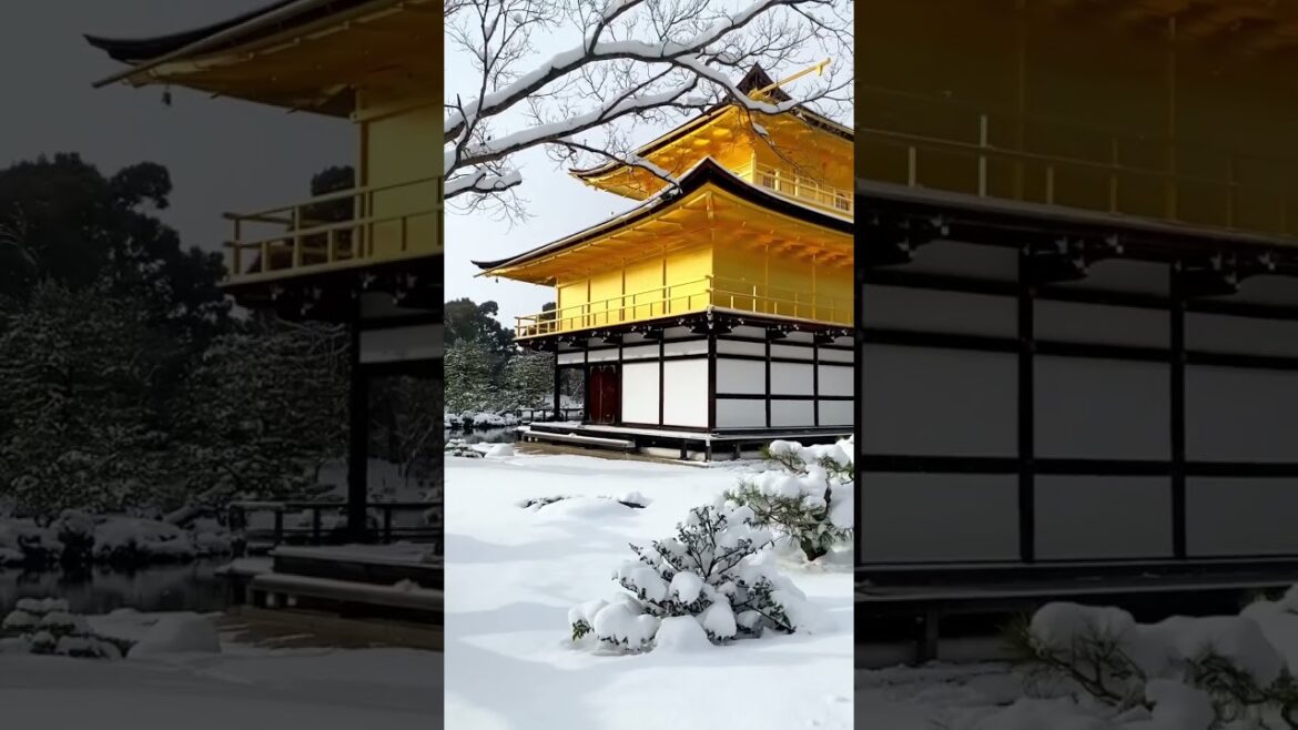 Japan’s Golden Temple in the snow is like another world #travel #japan #shorts