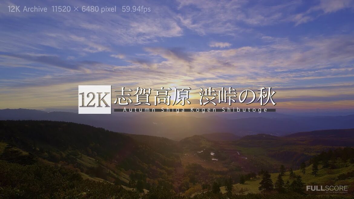 [12K footage] Autumn Shiga Kogen Shibutoge【志賀高原 渋峠の秋_12K】