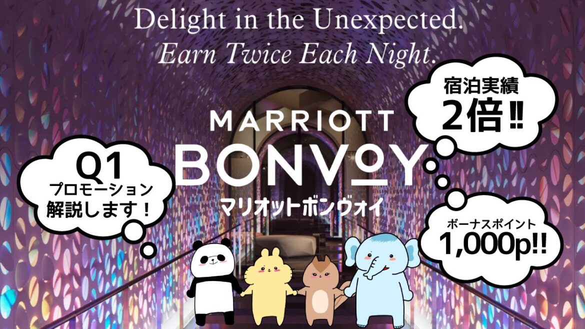 【必見!!】マリオットの新しいプロモーションを詳細解説します...!!
