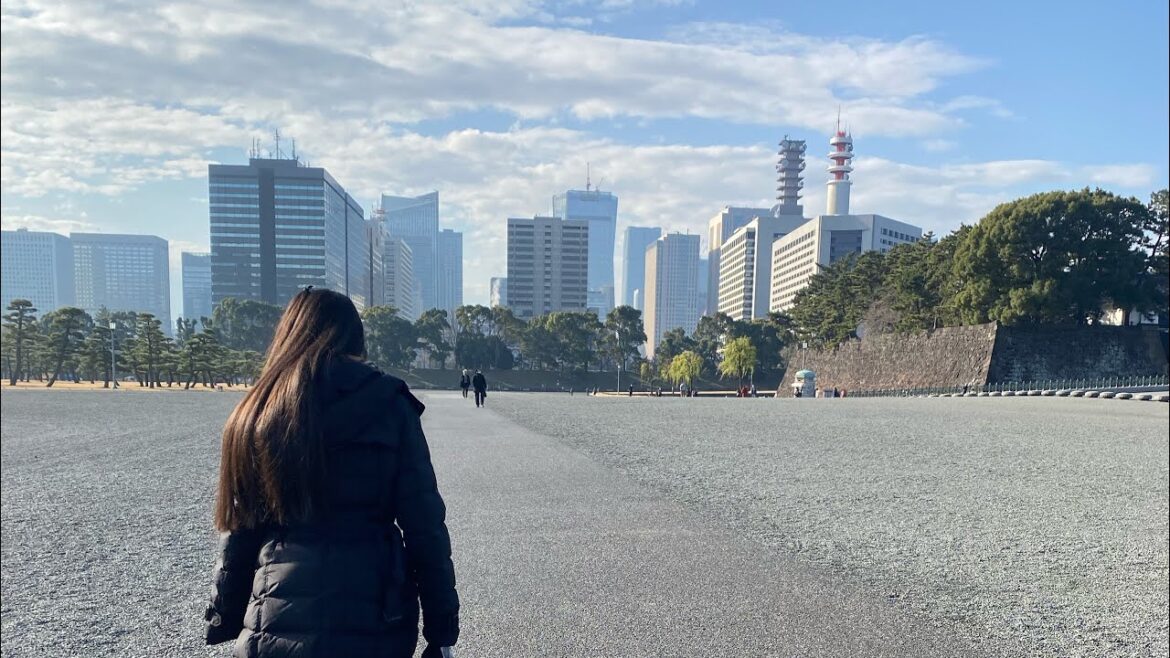 New Year, New Problems, New Travel – 2023 vlog 1 New Year, New Problems, New Travel - 2023 vlog 1