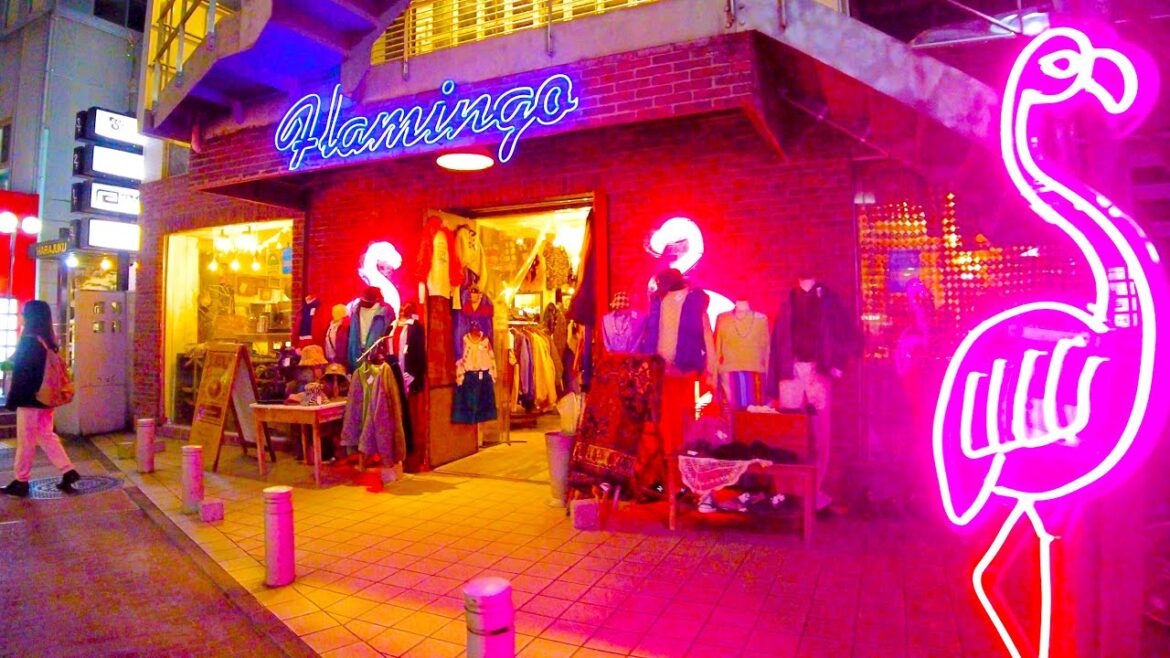 Harajuku in Tokyo ๐ถ๐ป Max Enjoy Street โช ๐ 4K ASMR non-stop 1 hour 06 minutes Harajuku in Tokyo ๐ถ๐ป Max Enjoy Street โช ๐ 4K ASMR non-stop 1 hour 06 minutes