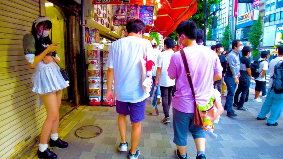 Akihabara in Tokyo is a refreshing town♪💖4K ASMR non-stop 1 hour 02 minutes