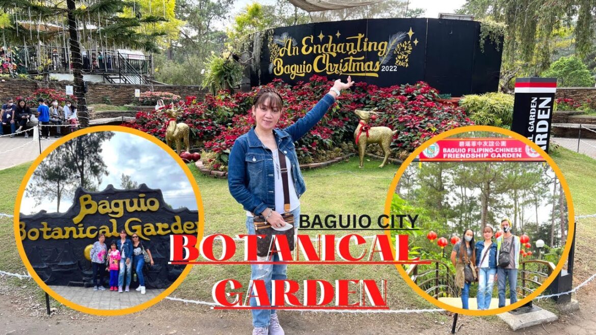 BAGUIO CITY BOTANICAL GARDEN WALK TOUR #travel #baguiocity BAGUIO CITY BOTANICAL GARDEN WALK TOUR #travel #baguiocity