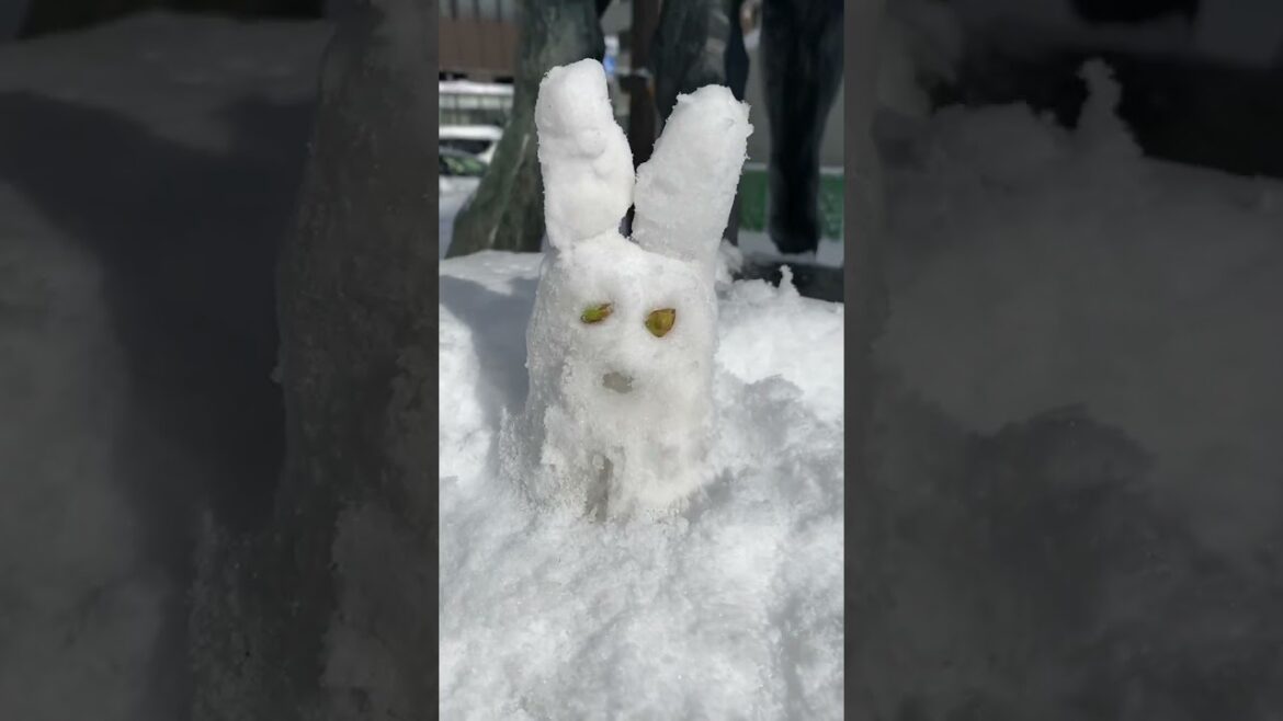 Travel, Sapporo, Hokkaido, Japan, 2023. Japan Travel Travel, Sapporo, Hokkaido, Japan, 2023. Japan Travel