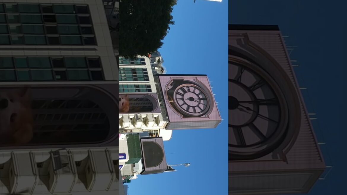 (No cut) Huge Akita-inu @ digital billboard in Shibuya Tokyo.