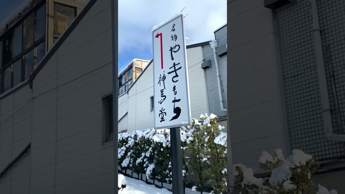 大雪の日の上賀茂神社 / Snowy Kyoto Kamigamo Shrine #shorts