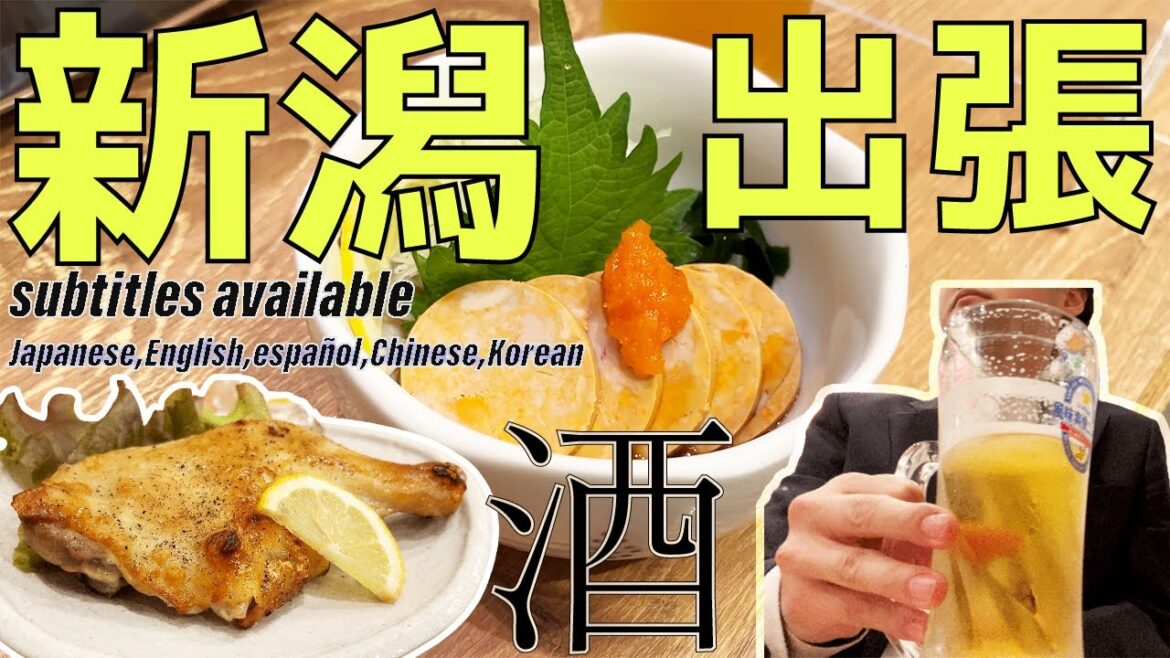 【4K/アフレコ】新潟駅前での立ち飲みが最高でまた行きたい。。