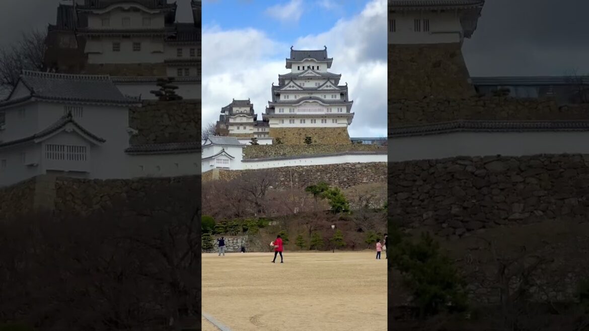 Himeji Castle from Different Viewpoints π―π΅ #shorts Himeji Castle from Different Viewpoints π―π΅ #shorts