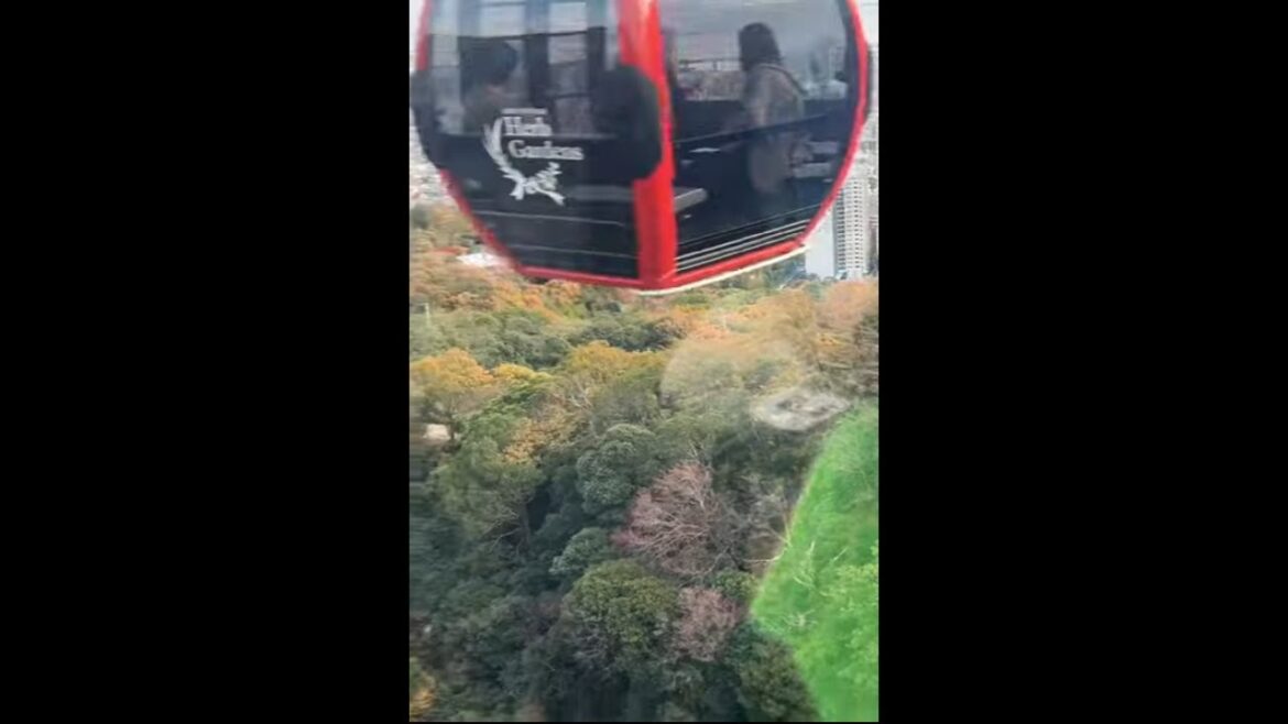 Shin Kobe Ropeway #japan2023 #japantravel Shin Kobe Ropeway #japan2023 #japantravel
