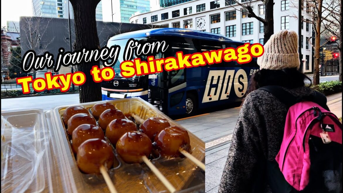Our journey to Shirakawago, from Tokyo Station! Winding Roads and lots of snow! Our journey to Shirakawago, from Tokyo Station! Winding Roads and lots of snow!
