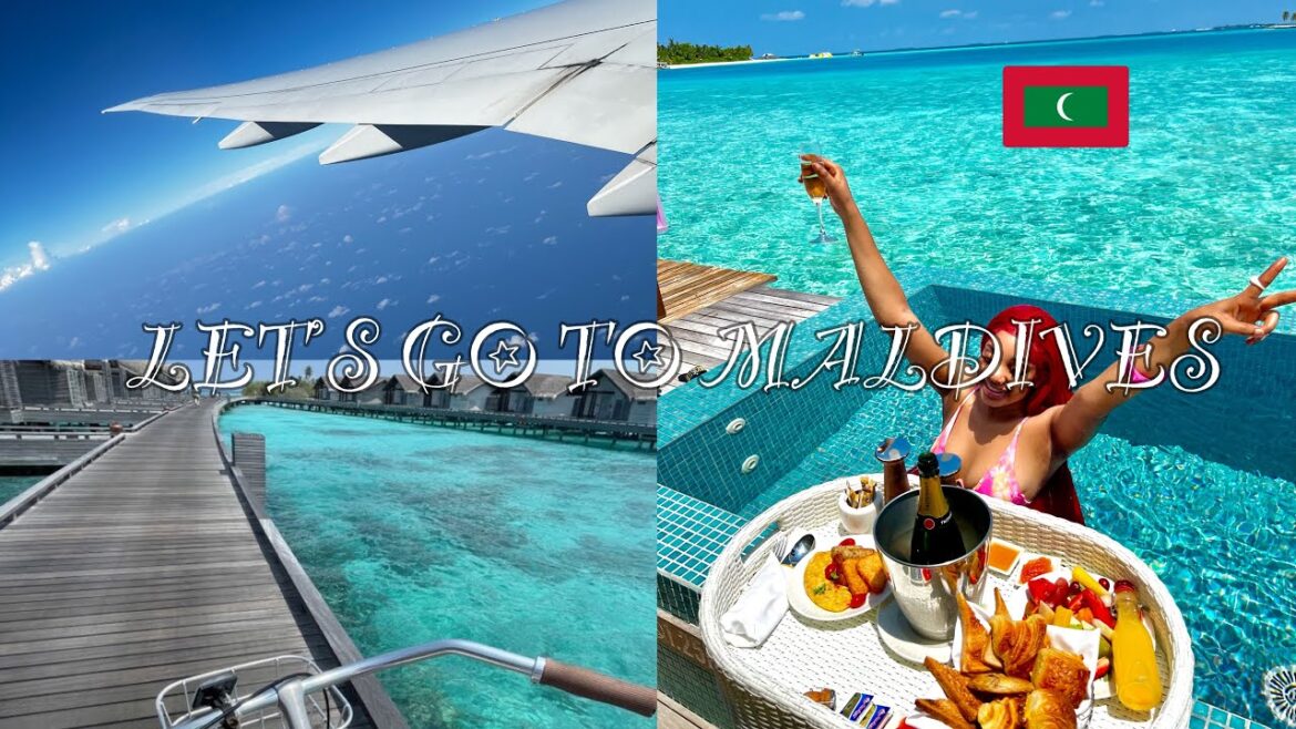 3 DAYS IN MALDIVES | FLIGHT TO DXB | SEAPORT | AIRPORT VIEW | TRAVEL VLOG DAY 1 3 DAYS IN MALDIVES | FLIGHT TO DXB | SEAPORT | AIRPORT VIEW | TRAVEL VLOG DAY 1