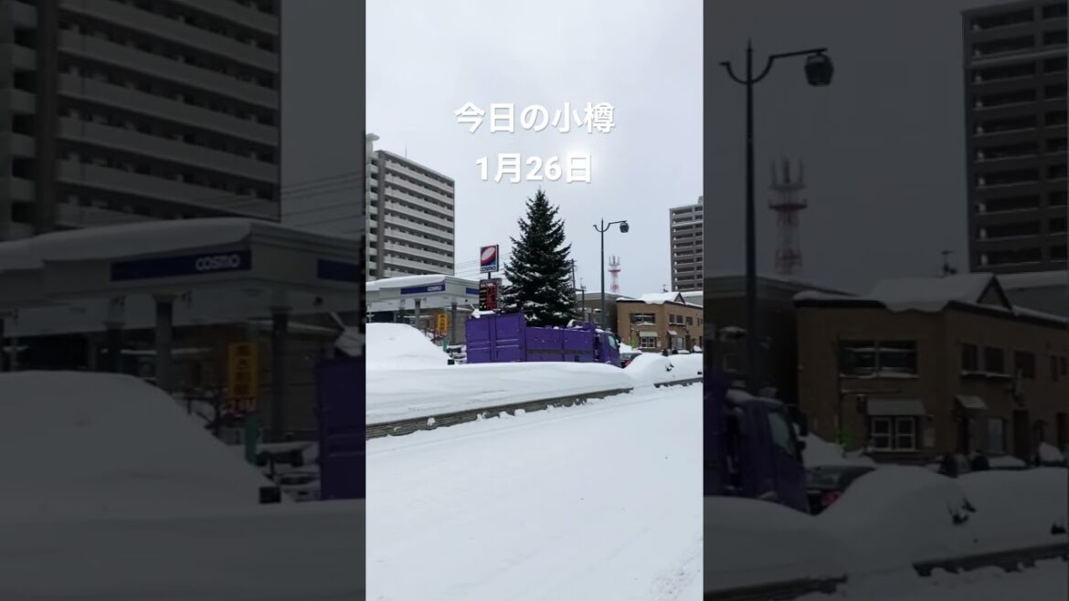 ファーストラブのロケ地巡り第二弾。昨夜の小樽は記録的な寒さでした⛄️ ロードヒーティングでも氷はってる。派手に転んでる人もいたのでお気をつけて!　#小樽