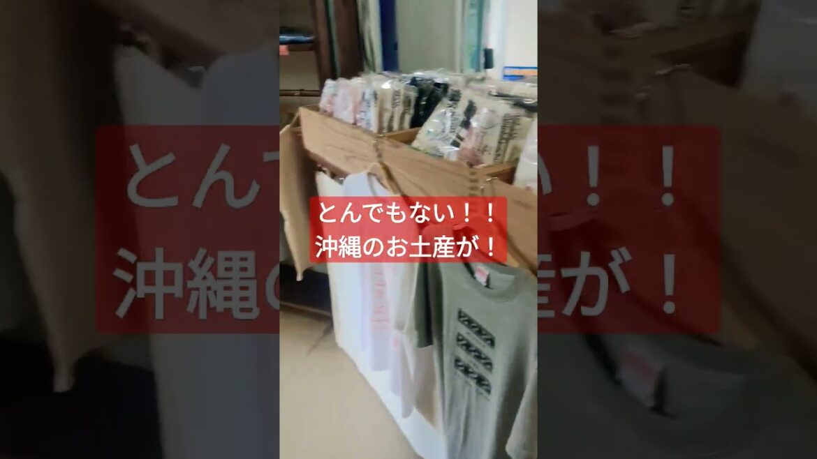 沖縄のお土産とんでもないものが！#沖縄旅行 #沖縄#沖縄観光 ＃石垣島＃猫#ねこのいる生活 #ねこ #ねこ部 #海外旅行 #海外旅行vlog #海外旅行好きな人と繋がりたい