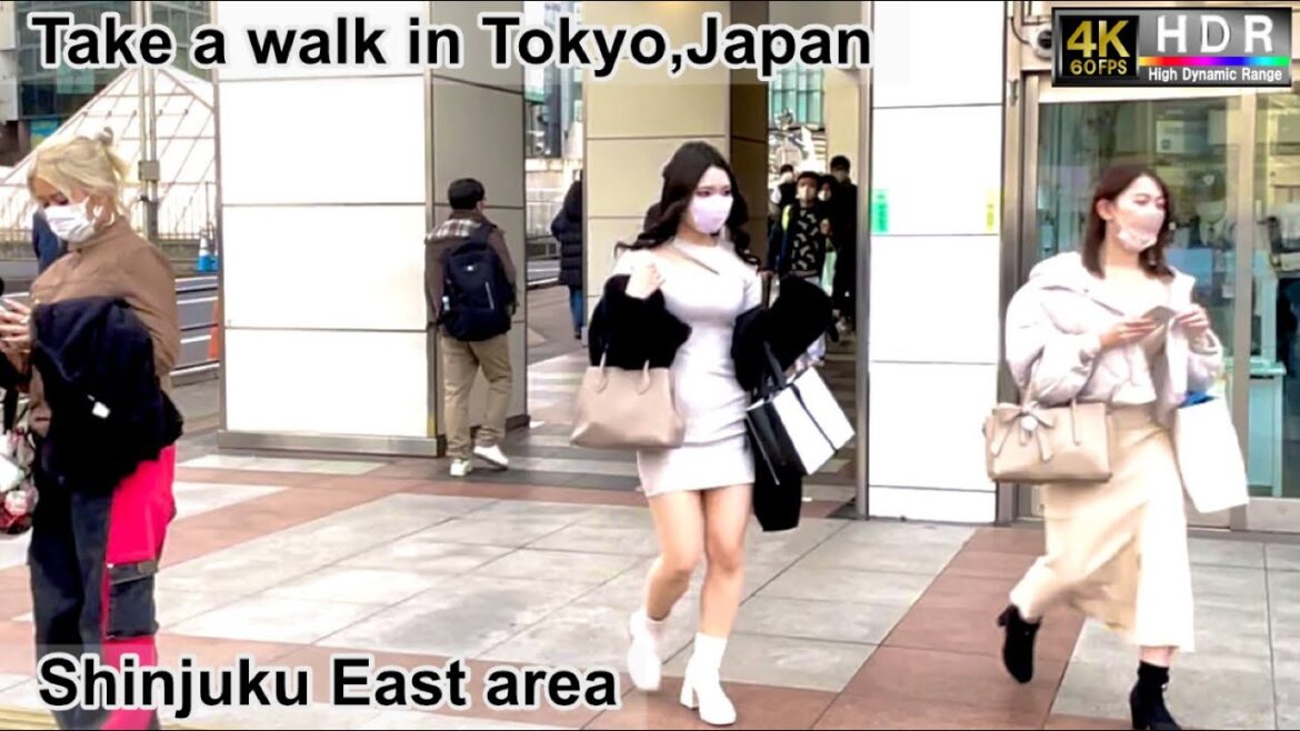4K 60fps HDR// Take a walk in Tokyo, Japan,Shinjuku Dori Ave.→Shinjuku East Area→Shinjuku South area 4K 60fps HDR// Take a walk in Tokyo, Japan,Shinjuku Dori Ave.→Shinjuku East Area→Shinjuku South area