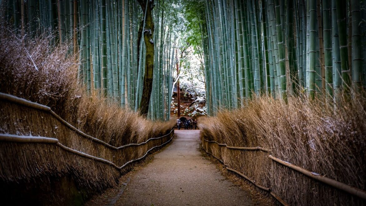 Exploring Northern Kyoto & and the Bamboo Forests of Arashiyama in the Snow |【4KHDR】JAPAN Exploring Northern Kyoto & and the Bamboo Forests of Arashiyama in the Snow |【4KHDR】JAPAN