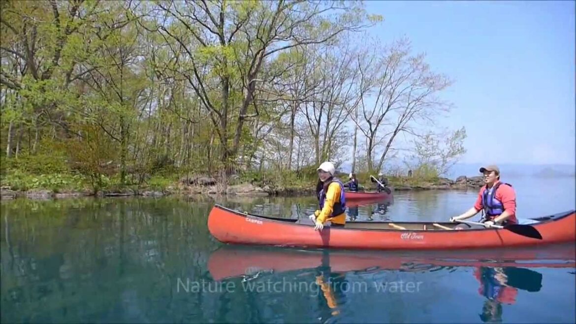 Toya Guide Center Movie