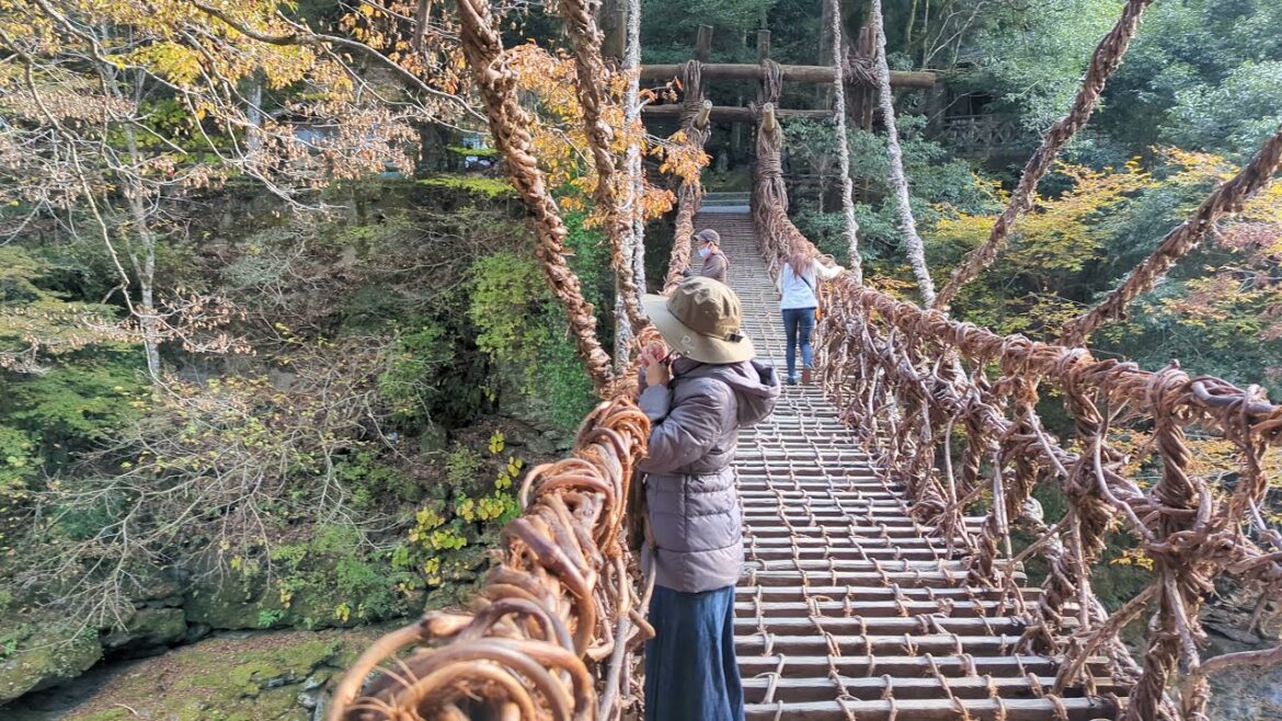 Miyoshi, Tokushima – Iyanokazura Vine Bridge (祖谷のかずら橋) Miyoshi, Tokushima - Iyanokazura Vine Bridge (祖谷のかずら橋)