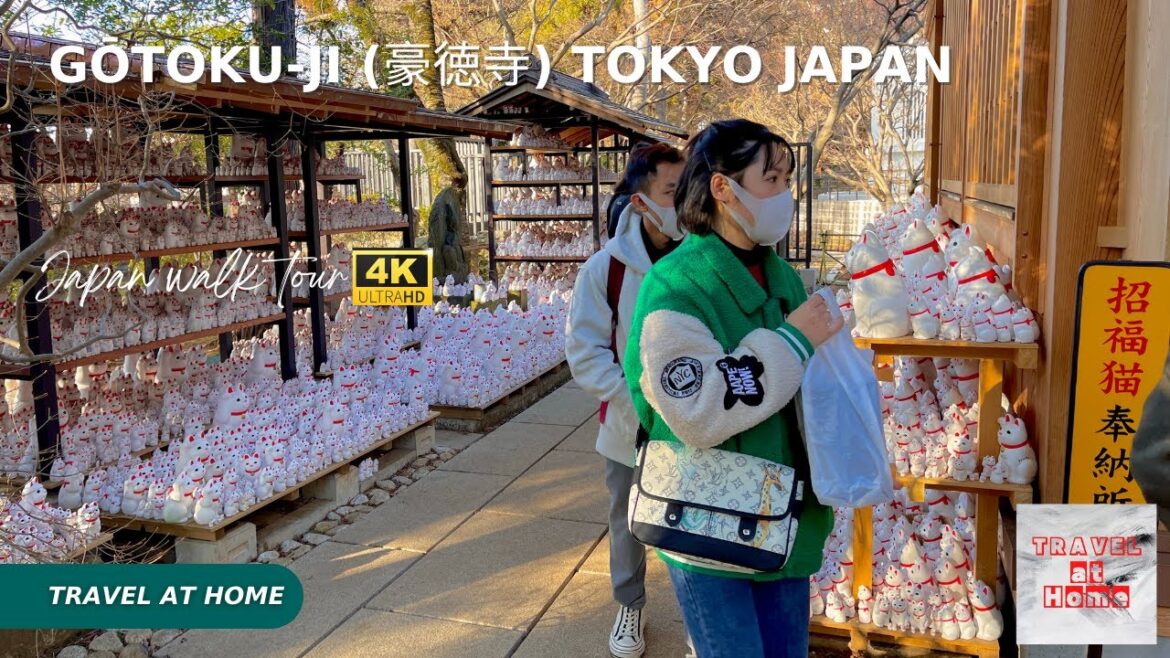 4k hdr japan walk | Walk in Gōtoku-ji (豪徳寺)  Tokyo Japan |  Make a wish in the comment section.