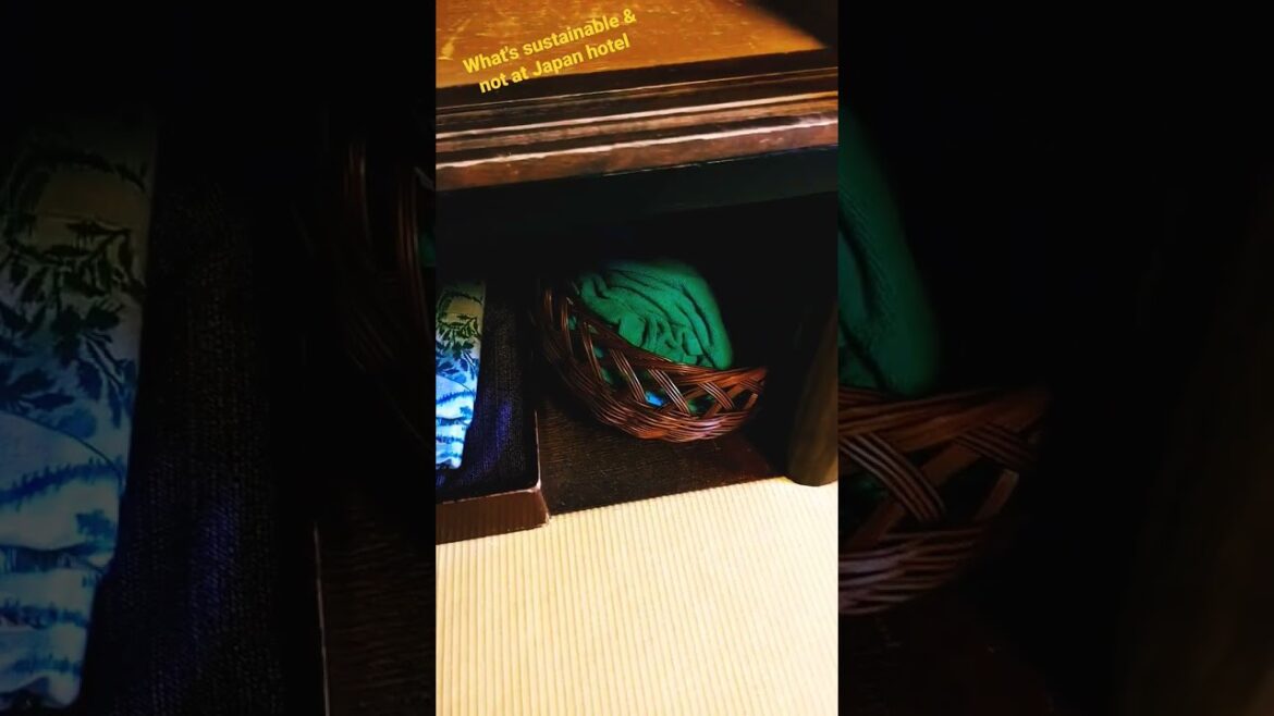 What's sustainable and what could be better in this Japanese ryokan hotel room?!