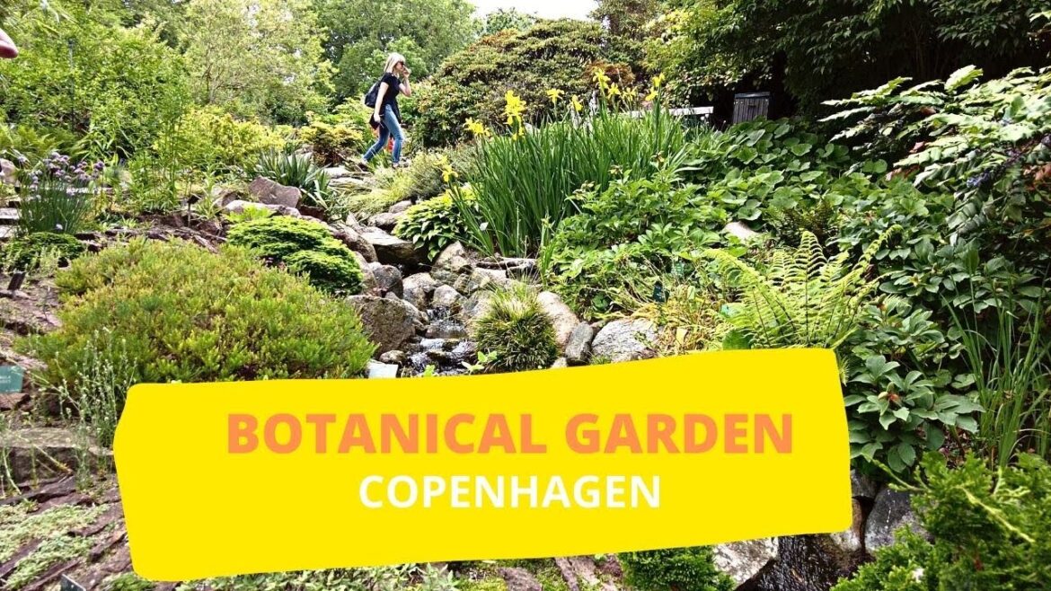 BOTANICAL GARDEN WALKING TOUR | COPENHAGEN