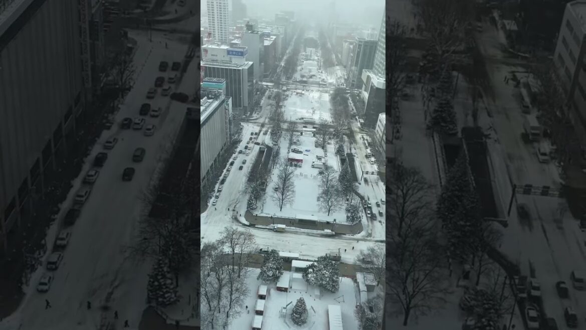 Travel, Sapporo, Hokkaido, Japan, 2023. Japan Travel