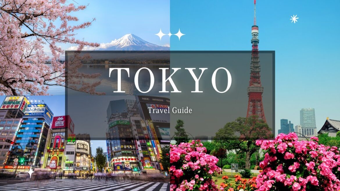 7 Days in Tokyo Japan Travel Guide 2023 7 Days in Tokyo Japan Travel Guide 2023