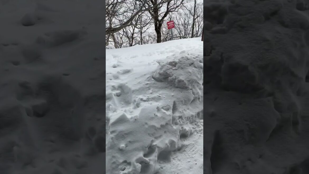 Travel, Sapporo, Hokkaido, Japan, 2023. Japan Travel Travel, Sapporo, Hokkaido, Japan, 2023. Japan Travel