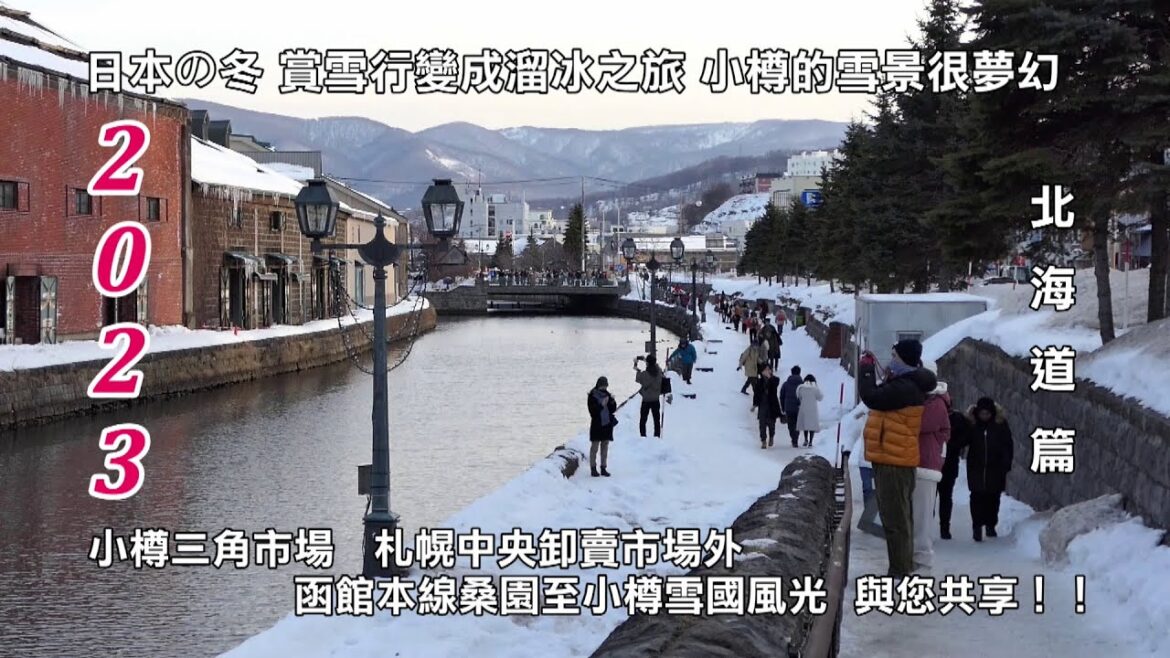 2023日本の冬 賞雪變成溜冰之旅 小樽的雪景很夢幻  三角市場 札幌中央卸賣市場外 函館本線桑園至小樽風光 與您共享!! 2023日本の冬 賞雪變成溜冰之旅 小樽的雪景很夢幻  三角市場 札幌中央卸賣市場外 函館本線桑園至小樽風光 與您共享!!