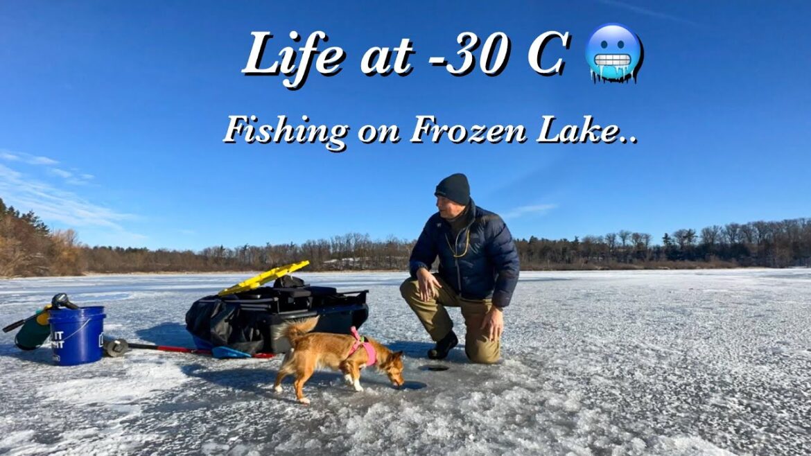 Life at -30 C in Canada 🥶 | Fishing on Frozen lake | Cinematic Short Film in Winter wonderland Life at -30 C in Canada 🥶 | Fishing on Frozen lake | Cinematic Short Film in Winter wonderland