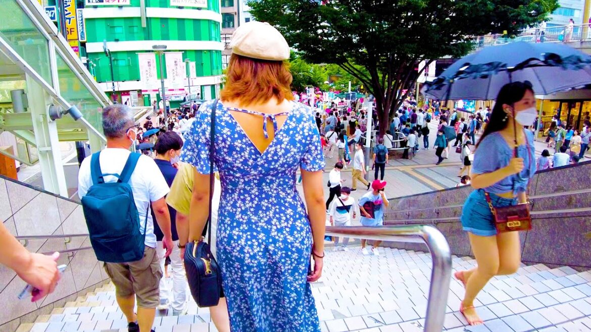 Shinjuku in Tokyo is a new experience town โช ๐ 4K ASMR non-stop 1 hour 01 minutes Shinjuku in Tokyo is a new experience town โช ๐ 4K ASMR non-stop 1 hour 01 minutes