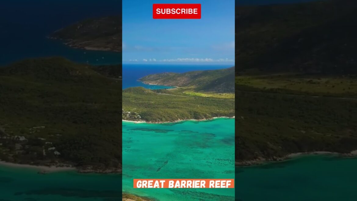 The Ultimate Guide to the Best Places to Visit in the World the Great Barrier Reef YouTube #Shorts The Ultimate Guide to the Best Places to Visit in the World the Great Barrier Reef YouTube #Shorts