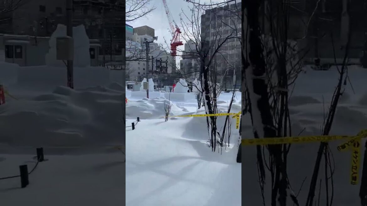 Travel, Sapporo, Hokkaido, Japan, 2023. Japan Travel Travel, Sapporo, Hokkaido, Japan, 2023. Japan Travel