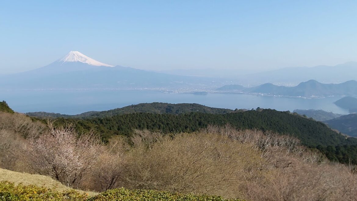 Izu (伊豆), Japan  - View of Mt. Fuji, aka "Fujisan" (富士山) from Darumayama Kogen (だるま山高原) 2021 Mar. 24