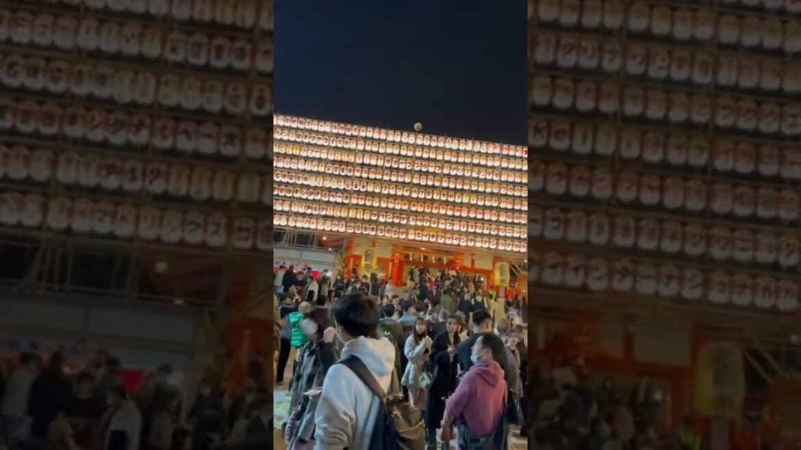 #Japan trip 2022 - #lanterns at #HanazonoShrine #花園神社 in #Shinjuku #Shorts #shortsvideo