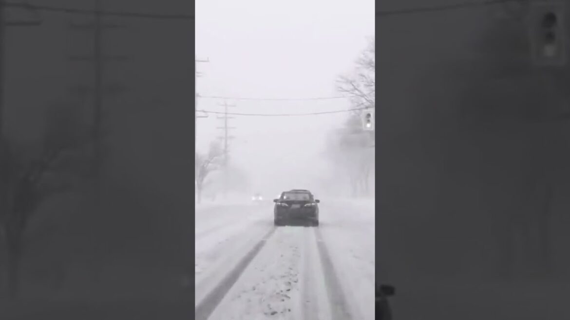 Blizzard hits Canada! Crazy snow storm in Ontario & Toronto.