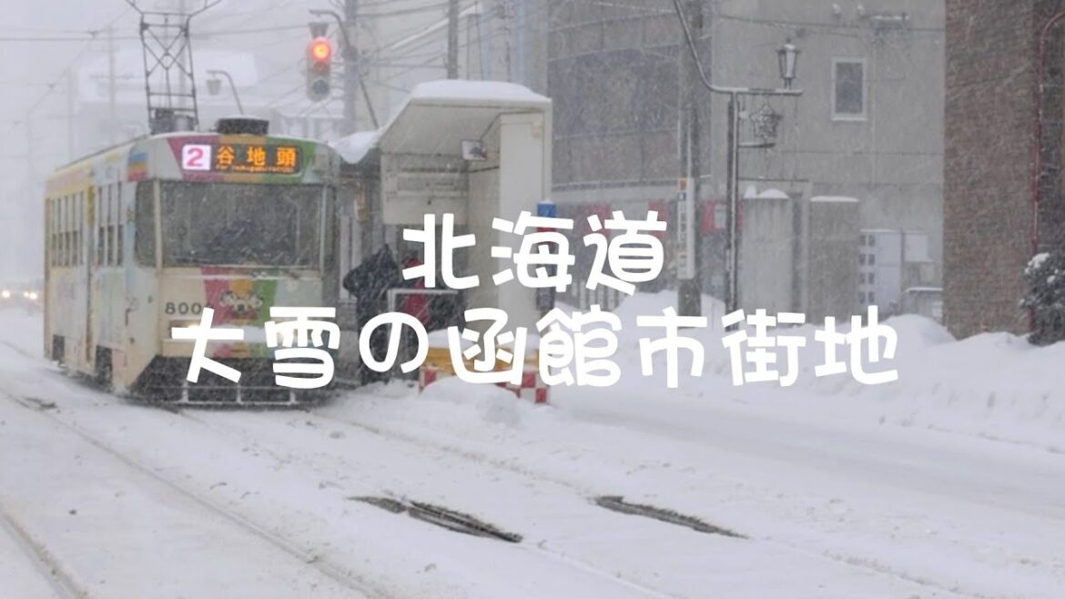 北海道旅行｜大雪の函館市街地